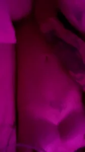 轻口味后入做爱操纹身精神小妹